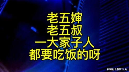 老五婶最新爆料,娱乐圈惊天内幕大曝光！